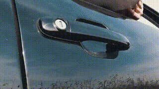 Car window pooping