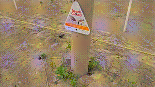 Dump In The Dunes